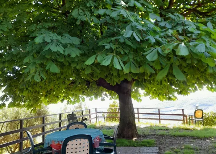 Casa Rosetta Postuman