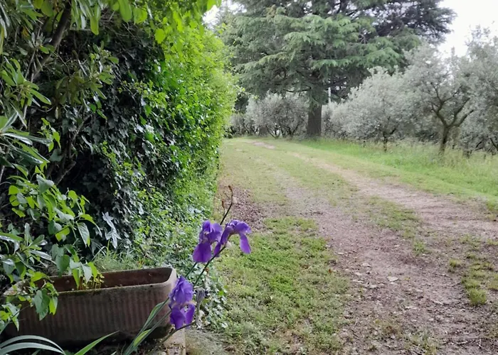 Casa Rosetta Semesterbostad