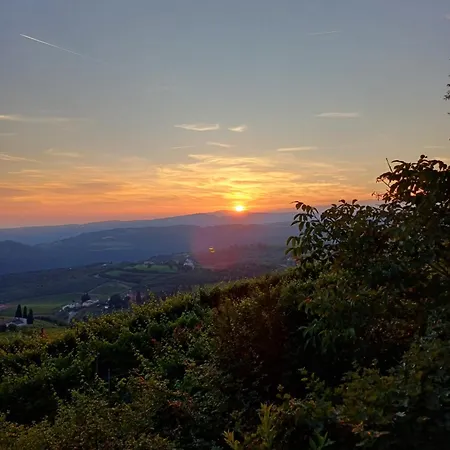 Casa Rosetta * Postuman