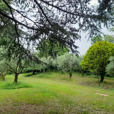 Casa Rosetta * Postuman