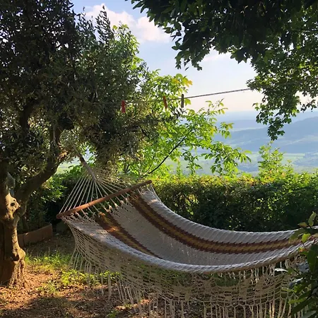 Casa Rosetta * Postuman