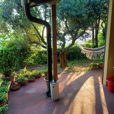 Casa Rosetta * Postuman