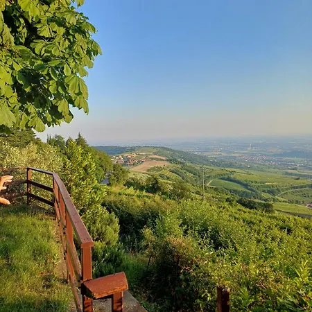 Casa Rosetta Postuman