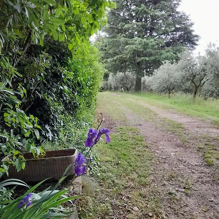 Casa Rosetta Holiday home