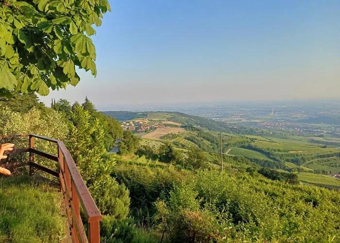 Casa Rosetta Postuman